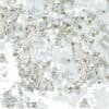 Pencott Snowdrift