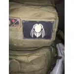 Naszywka na rzep Predator photo review