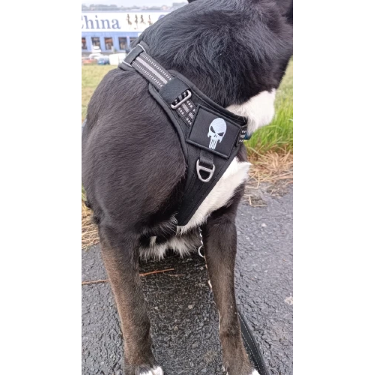 Naszywka Czaszka i Skrzyżowane Piszczele photo review