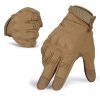 coyote-brown-pl