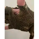 Rękawice taktyczne bez palców Fast-M photo review