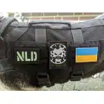 Naszywka Biohazard photo review