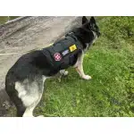 Naszywka Biohazard photo review