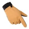 coyote-brown-pl