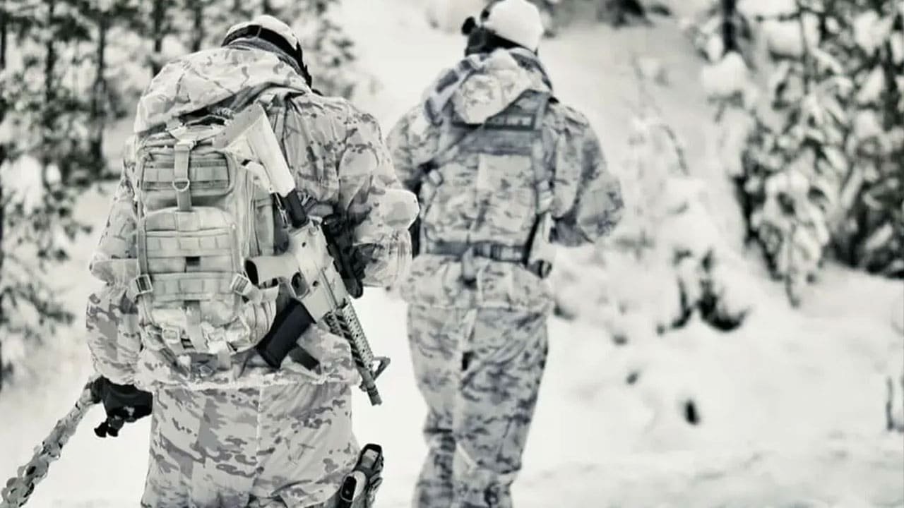 Kamuflaż alpejski Multicam