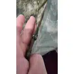 Ponczo przeciwdeszczowe Multicam Tropic photo review