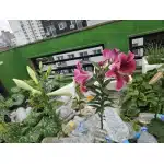 Poncho wojskowe wodoodporne czarne photo review