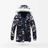 woodland-blue-pl