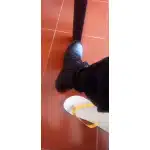 Lekkie buty taktyczne z zamkiem błyskawicznym photo review