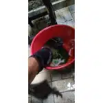 Czarne wodoodporne skarpety wojskowe photo review