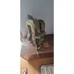 3-dniowy plecak taktyczny MOLLE photo review