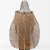 coyote-brown-pl