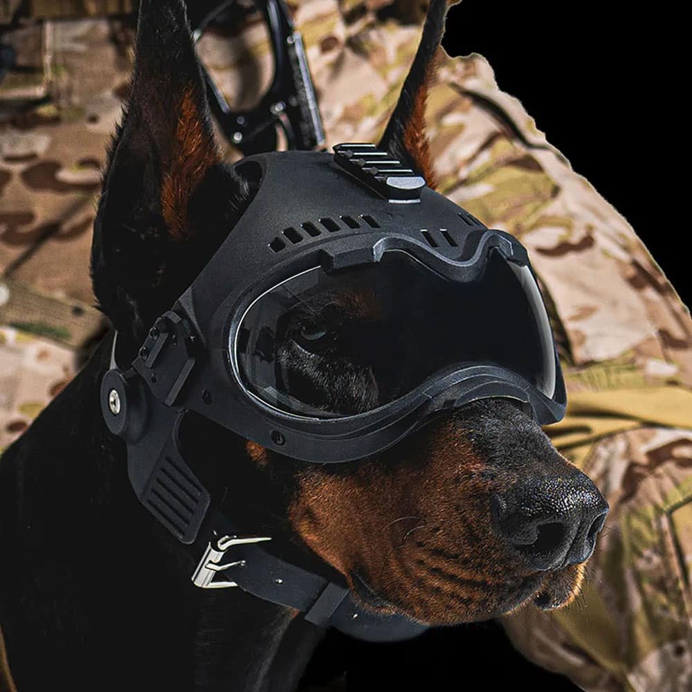 Taktyczny hełm dla psa K9 - obrazek 2