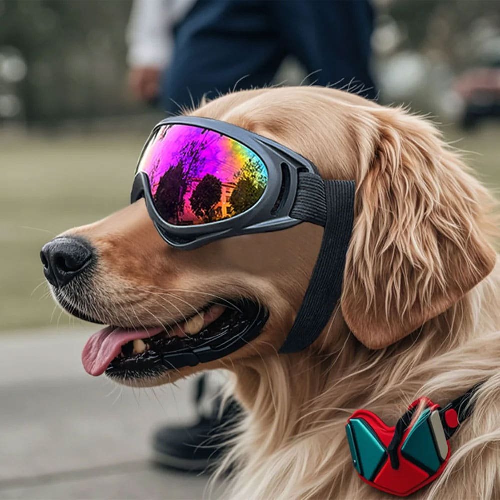 Militarne okulary dla psa - obrazek 2