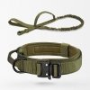 army-green-pl