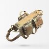 multicam-pl