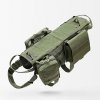 army-green-pl