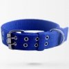 blue-pl
