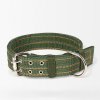 army-green-pl