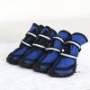 blue-pl
